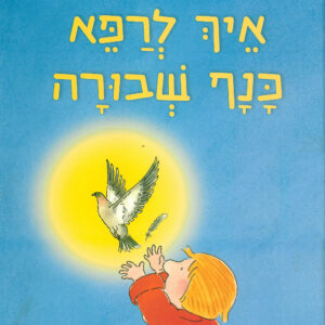 כריכת הספר איך לרפא כנף שבורה