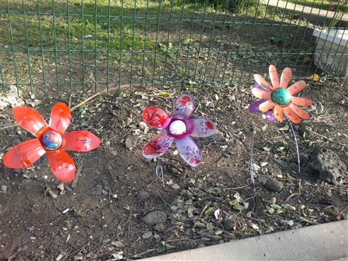 שביל פרחים ממוחזרים שיצרו ילדי גן חצב ממושב כנף