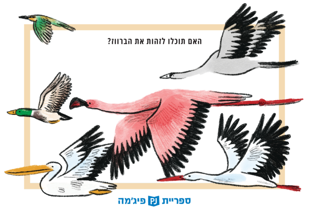 גלויה 5 צד ב